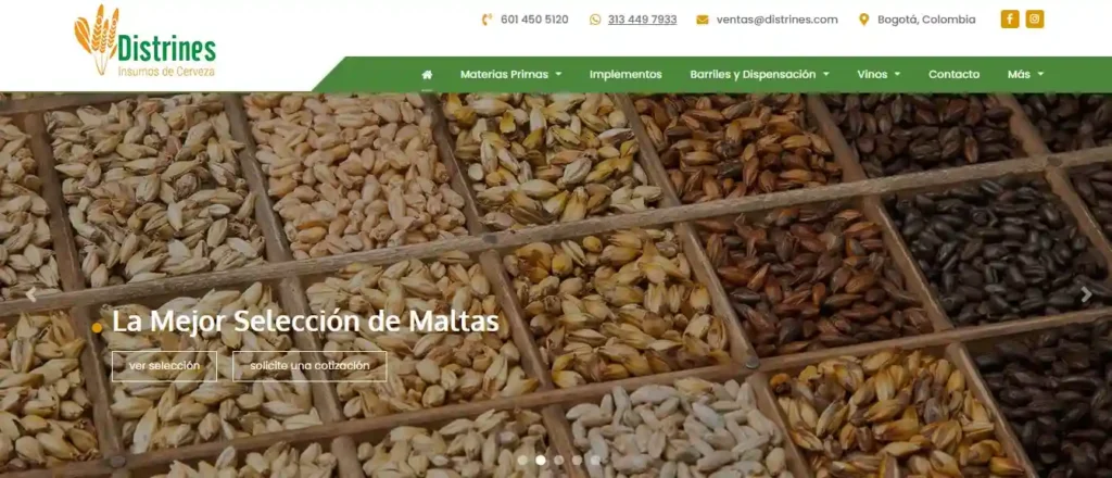 ejemplo web cerveza